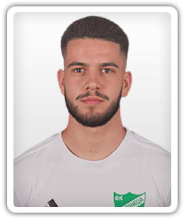 Miloje Jelenic