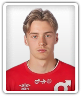 Vincent Alsing Tigerholm