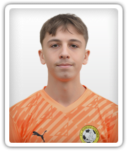 Damir Kolic