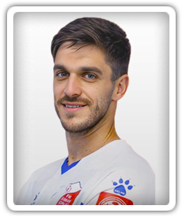Amer Drljevic