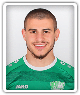 Mitko Mitkov