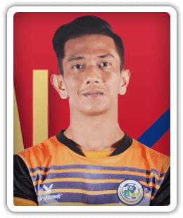 Mohd Firdaus Mohd Faudzi