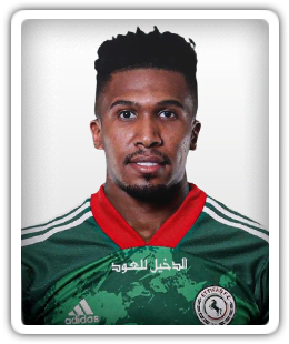 Majed Al-Najrani