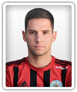 Karlo Igor Majic