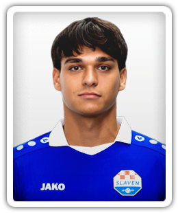 Josip Mitrovic