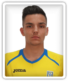 Kenan Topolovic