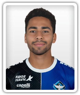 Youssef Dhaflaoui