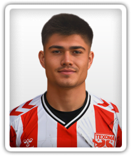 Dane Domic
