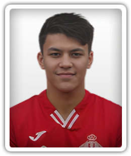 Sander Emmen