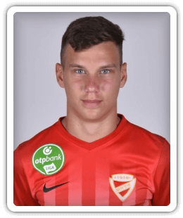 Milán Nemes