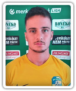 Gergely Hajnal