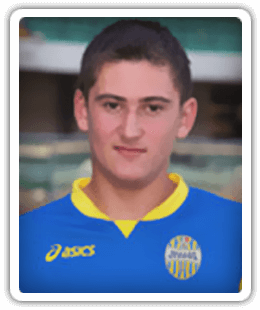 Alin Birlea