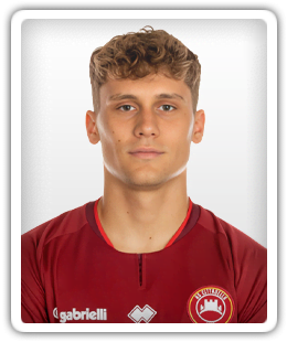 Stefano Piccinini