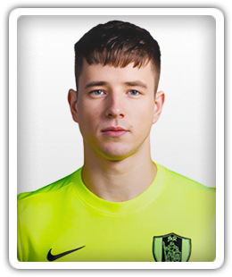Armandas Šveistrys