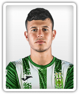 Aleandro Garzia