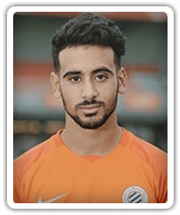 Amine Ichalalen