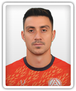 Ionut Nedelcearu