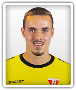 Aleksander Mitrovic