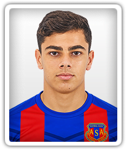 Raul Haiduc