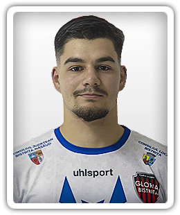 Sergiu Pîrvulescu