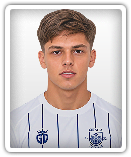 Denis Bujor