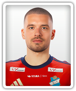 Vladimir Rodic