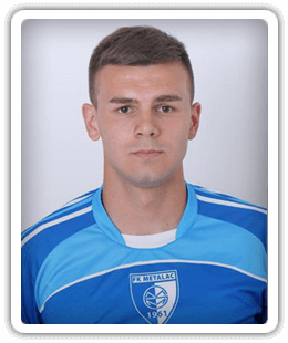 Milan Basrak