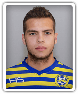 David Vidakovic