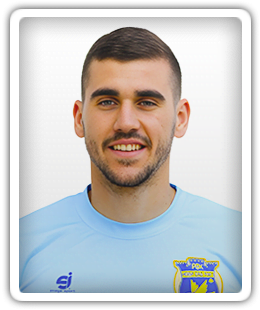 Vladan Elesin