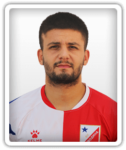 Nikola Miric