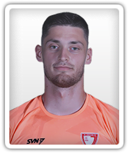 Mišo Dubljanic