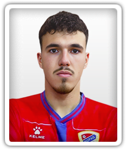 Viktor Rogan