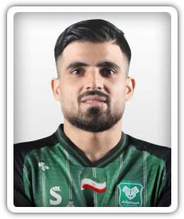 Mohsen Sefid Choghaei