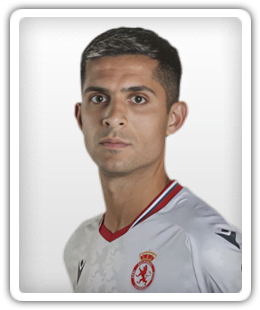 Bicho