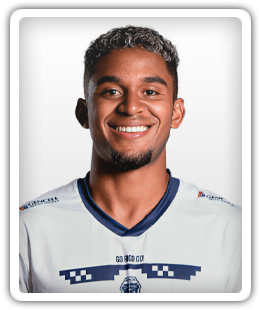 Ronaldo Pajaro