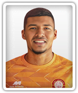 Carlos Gamarra