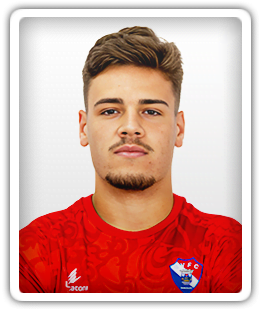 Henrique Martins