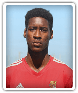 Nilton Tavares