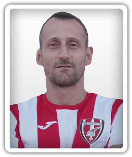 Artim Polozhani