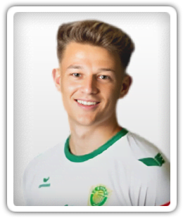 Julian Hermann