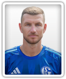 Edin Dzeko
