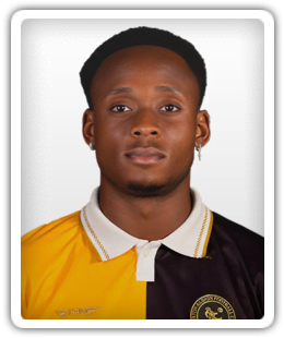 Udoka Godwin-Malife
