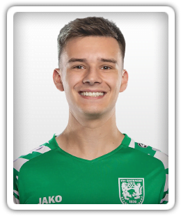Damijan Heuser