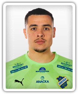 Armin Ibrahimovic