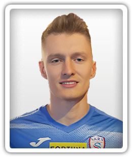 Denis Gojko