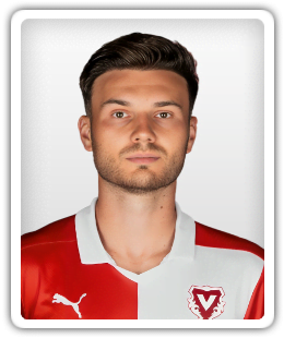 Dominik Schwizer